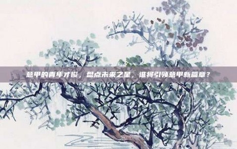 意甲的青年才俊，盘点未来之星，谁将引领意甲新篇章？