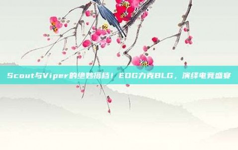 Scout与Viper的绝妙搭档！EDG力克BLG，演绎电竞盛宴