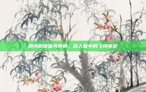 滑翔机德雷克斯勒，名人堂中的飞翔奇迹