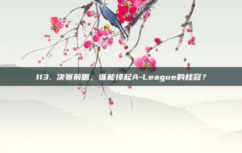 113. 决赛前瞻，谁能捧起A-League的桂冠？