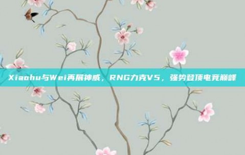 Xiaohu与Wei再展神威，RNG力克V5，强势登顶电竞巅峰