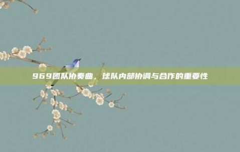 969团队协奏曲，球队内部协调与合作的重要性