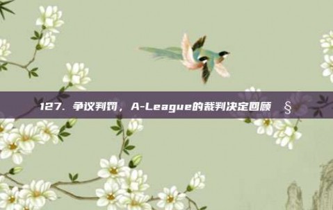 127. 争议判罚，A-League的裁判决定回顾🧐