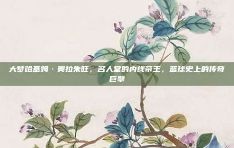 大梦哈基姆·奥拉朱旺，名人堂的内线帝王，篮球史上的传奇巨擘