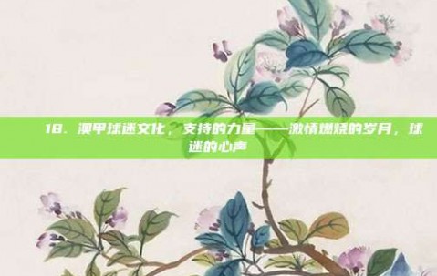 💖18. 澳甲球迷文化，支持的力量——激情燃烧的岁月，球迷的心声