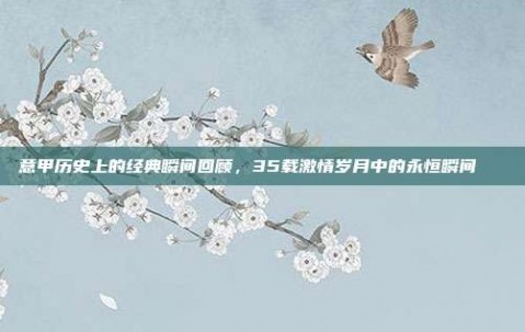 意甲历史上的经典瞬间回顾，35载激情岁月中的永恒瞬间📅