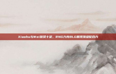 Xiaohu与Wei默契十足，RNG力克BLG展现顶级配合力