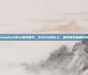 Xiaohu与Wei默契联手，RNG力克BLG，展现电竞巅峰对决