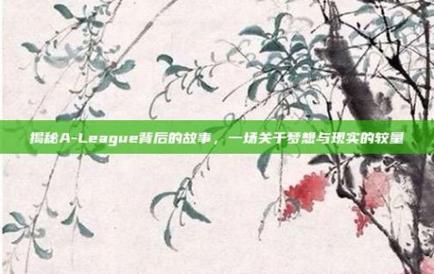 揭秘A-League背后的故事，一场关于梦想与现实的较量