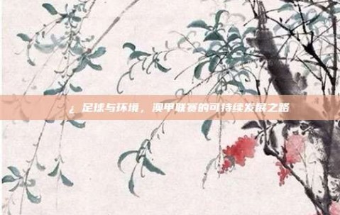 🌿 足球与环境，澳甲联赛的可持续发展之路