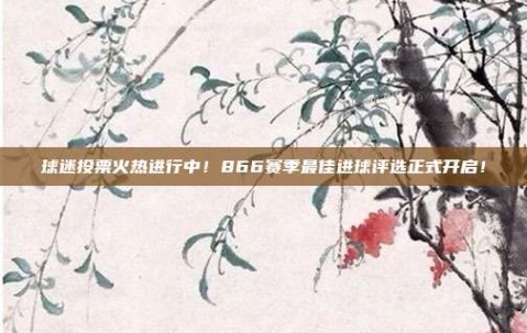 球迷投票火热进行中！866赛季最佳进球评选正式开启！