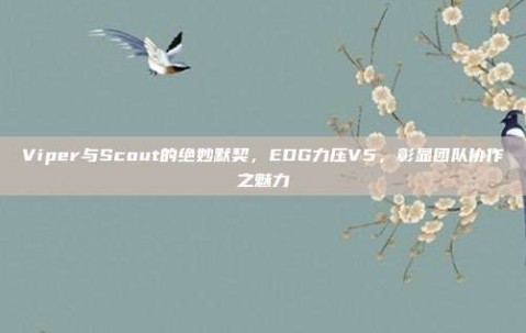 Viper与Scout的绝妙默契，EDG力压V5，彰显团队协作之魅力