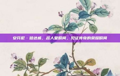 安芬尼·哈达威，名人堂瞬间，见证传奇的荣耀瞬间