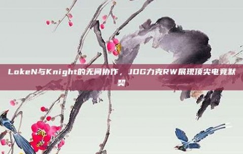 LokeN与Knight的无间协作，JDG力克RW展现顶尖电竞默契