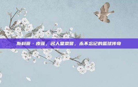 斯科蒂·皮蓬，名人堂荣誉，永不忘记的篮球传奇