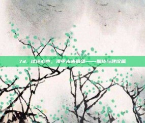 73. 球迷心声，澳甲未来展望——期待与建议篇