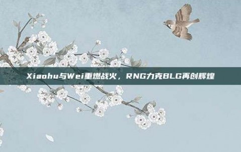 Xiaohu与Wei重燃战火，RNG力克BLG再创辉煌