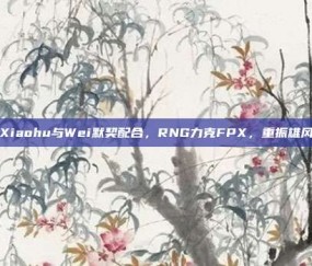 Xiaohu与Wei默契配合，RNG力克FPX，重振雄风