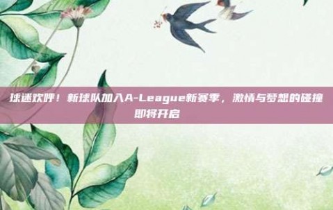 球迷欢呼！新球队加入A-League新赛季，激情与梦想的碰撞即将开启🎉