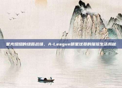 星光熠熠的绿茵战场，A-League明星球员的璀璨生活揭秘