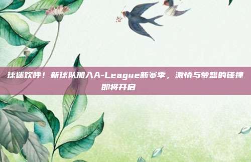 球迷欢呼！新球队加入A-League新赛季，激情与梦想的碰撞即将开启🎉