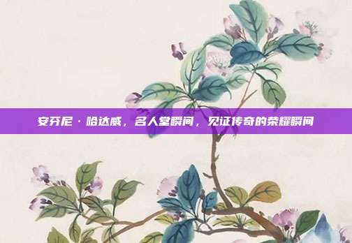 安芬尼·哈达威，名人堂瞬间，见证传奇的荣耀瞬间