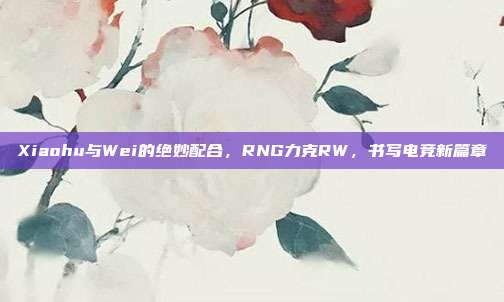 Xiaohu与Wei的绝妙配合，RNG力克RW，书写电竞新篇章