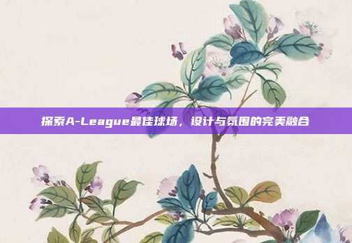 探索A-League最佳球场，设计与氛围的完美融合