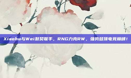 Xiaohu与Wei默契联手，RNG力克RW，强势登顶电竞巅峰！