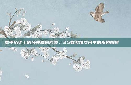 意甲历史上的经典瞬间回顾，35载激情岁月中的永恒瞬间📅