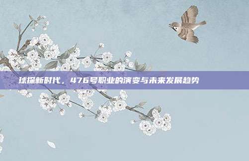 球探新时代，476号职业的演变与未来发展趋势🔍📈