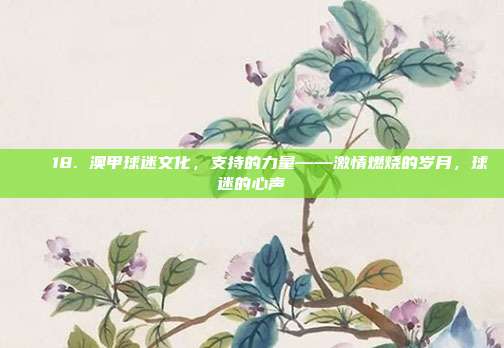 💖18. 澳甲球迷文化，支持的力量——激情燃烧的岁月，球迷的心声