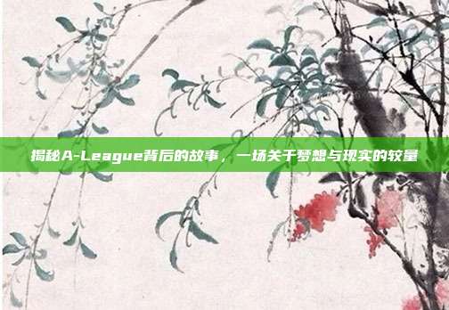 揭秘A-League背后的故事，一场关于梦想与现实的较量