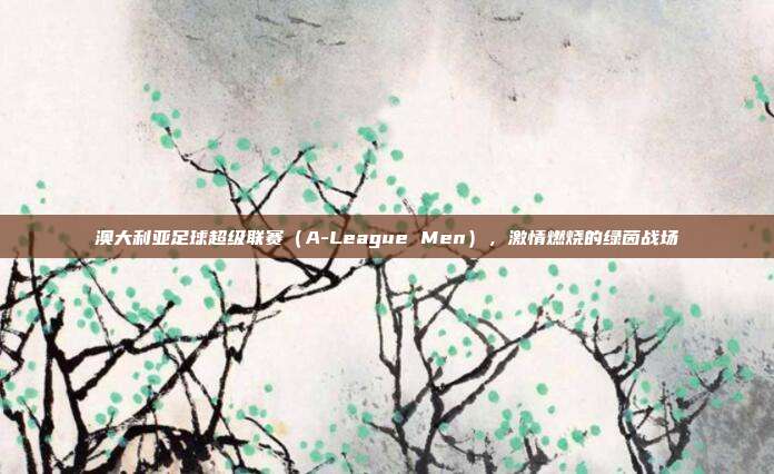 澳大利亚足球超级联赛（A-League Men），激情燃烧的绿茵战场