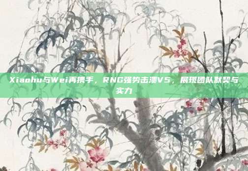 Xiaohu与Wei再携手，RNG强势击溃V5，展现团队默契与实力