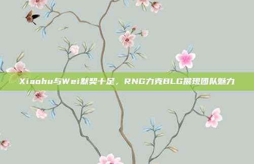 Xiaohu与Wei默契十足，RNG力克BLG展现团队魅力