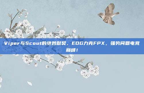 Viper与Scout的绝妙默契，EDG力克FPX，强势问鼎电竞巅峰！