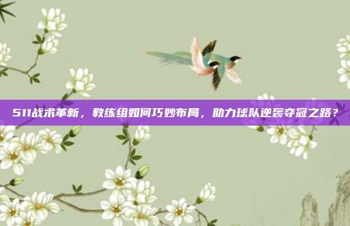 511战术革新，教练组如何巧妙布局，助力球队逆袭夺冠之路？