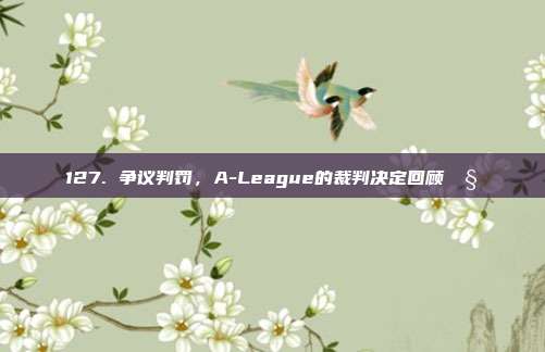 127. 争议判罚，A-League的裁判决定回顾🧐